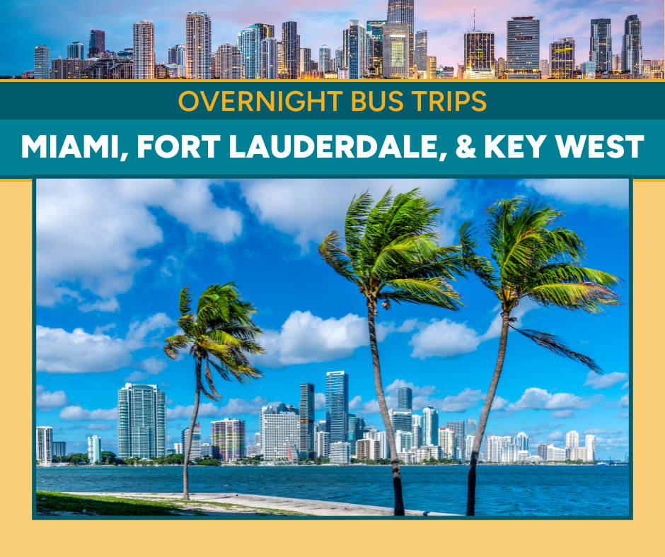 Photo of Miami skyline with three palm trees